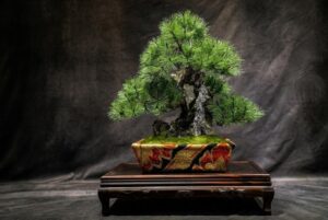盆栽作家の眞利子大輔が和紙盆栽初の石付き作品を渋谷の現代アート展に出展へ