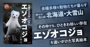文一総合出版、写真絵本 北国の小さなハンター エゾオコジョ を刊行