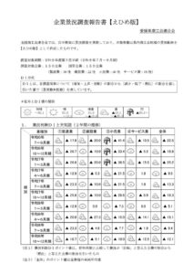 愛媛県商工会連合会が令和８年度第２四半期の中小企業景況調査報告書えひめ版を公表