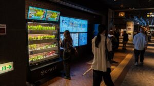 OYASAI、天神地下街にOYASAI FARMを設置し都市型農業モデルの実証開始