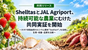 ShelltasとJAL Agriport、ホタテ貝殻素材による農業の共同検証へ