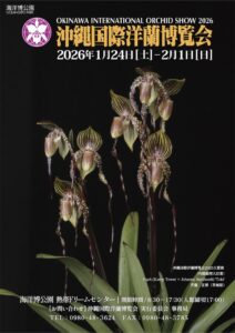 第39回沖縄国際洋蘭博覧会が熱帯ドリームセンターで令和9年1月23日から開催へ