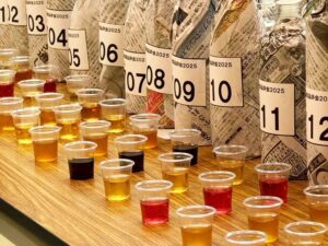 第11回全国梅酒品評会2026の入賞47品が決定 11月20日に表彰式へ