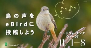 日本野鳥の会、鳥の音声を投稿するeBirdキャンペーンを11月に実施へ