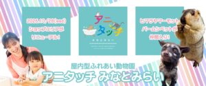 アニタッチ みなとみらいが売店改装 ヒマラヤマーモットらを初導入へ