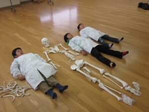 相鉄グループ、11月29日に二俣川でがいこつ教室開催へ こども冒険バンクに参画