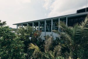 BOTANICAL POOL CLUB、冬限定のウェルネス体験を11月6日より展開へ