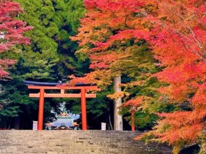 鹿児島県霧島市が紅葉の名所を案内　見頃は11月上旬から下旬にかけて
