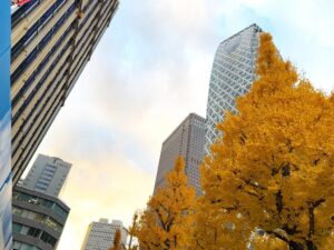 ナビットが法人電話帳データなどを整備 開業・廃業動向や増減件数を公表