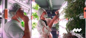 MUGEN FARMのアドバイザーに料理人の太田哲雄氏が就任 KIBOU