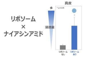 コーセー リポソーム技術でナイアシンアミドの肌浸透性向上を確認