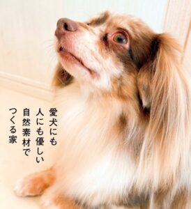 四国建設が徳島市八万町に愛犬専用ルーム付き平屋モデルハウスを開設へ