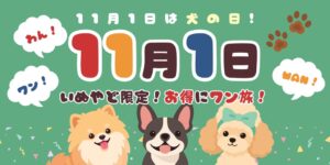 いぬやど、犬の日にちなんだ宿泊割引キャンペーンを11月1日から実施へ