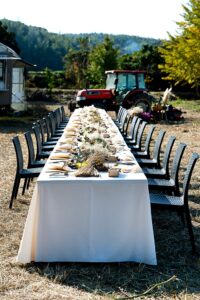 美浜町でFarm to Table in Chita第3弾が11月8日開催へ