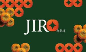 愛知県豊橋市とJA豊橋が次郎柿の販促展開へ　計2,600個の配布も実施予定