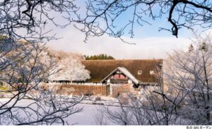 ROKKO森の音ミュージアムでSIKIガーデンWinter Season開催へ