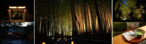鎌倉の報国寺とホテル2社など、2026年11月から夜間特別拝観を定期開催へ