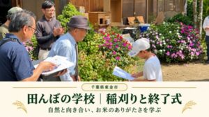 NIJIN、千葉県東金市での田んぼの学校全10回の活動について報告