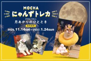 猫カフェMOCHA全36店舗で秋の限定トレカが11月14日より発売へ