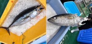 ミックス＆マッチ、食品工場Week 東京 2026でHYPER ICEの魚凍結実演へ