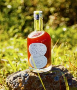 クラビズ、発酵ドリンクブランド素と素立ち上げ　発酵しょうがドリンク発売へ
