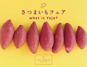養命酒 養生の森、11月1日からさつまいもフェア開催へ 限定メニューが登場