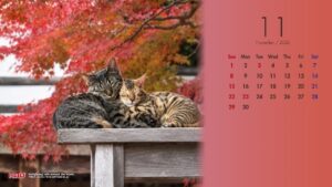 いなばペットフード、紅葉テーマの2026年11月カレンダー壁紙を無料公開