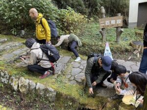県立恩賜箱根公園で2026年11月22日にコケ観察の自然満喫ツアーを開催へ