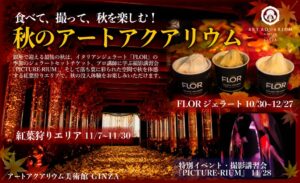 アートアクアリウム美術館 GINZAで秋の3企画実施へ ジェラートや撮影会など