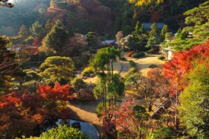 伊豆長岡温泉三養荘、有形文化財の日本庭園カフェを12月20日まで期間延長へ