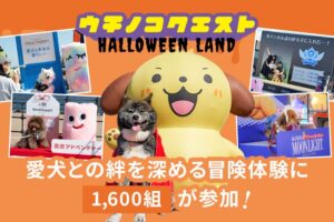 横浜赤レンガ倉庫でうちの子クエスト開催 延べ1,600組が愛犬と参加
