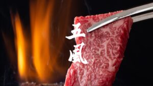 尼崎市の五風がふぐ料理と焼肉を自由に組み合わせる新コースを12月1日より提供へ