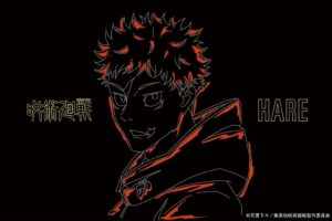 HAREが呪術廻戦コラボアイテム全12型を2026年11月7日に発売へ
