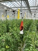 トヨタテクニカルディベロップメントとトヨタネ、夜間温度むら解析サービス展開で連携