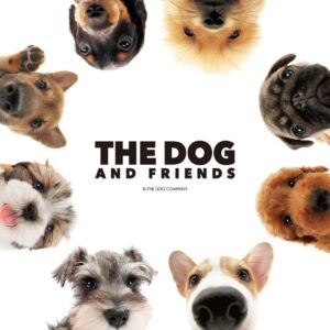 ブランチ・アウトとTHE DOG COMPANYが商品化ライセンス契約締結