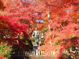 休暇村奥武蔵、紅葉期の東郷公園へ宿泊者向け無料送迎バスを運行へ