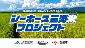 シーホース三河の佐古賢一社長が小学生と稲刈り 西尾市でシーホース三河米を収穫