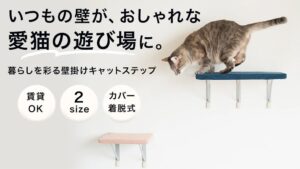 大栄工業、ペット用品&POMのキャットステップをMakuakeで開始へ