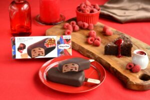 ハーゲンダッツがバー 木苺のガトーショコラ を11月3日より期間限定で発売へ