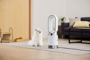 犬のフケが空気中に長時間漂う認知は約3割 ダイソンが室内環境調査を実施