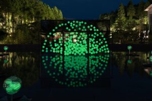 LEP、渋谷サクラステージで自発光植物の体験型実証を11月19日から開催へ