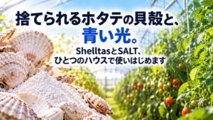 ShelltasとSALT、貝殻由来資材と農業用LEDを組み合わせた共同事業を開始