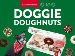 クリスピー・クリーム・ドーナツが日本初の犬用ドーナツを11月1日発売へ