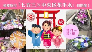 相模原市中央区で七五三に合わせた中央区花手水を11月7日から初開催へ