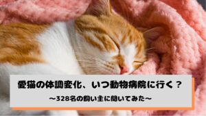 猫の体調不良で受診まで数日様子見が半数超、上池台動物病院グループが調査