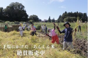 特定非営利活動法人支援センターあんしんが天日干しあんしん米の新米を販売開始
