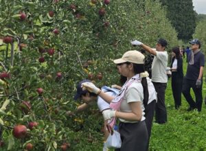 飯綱町がタイミーと連携しふるさと住民登録制度の担い手活動を募集開始