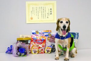 アサンテのトコジラミ探知犬ビートが2026年10月末で引退へ　約6,700室調査